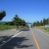 oe (@oe) 's Twitter Profile