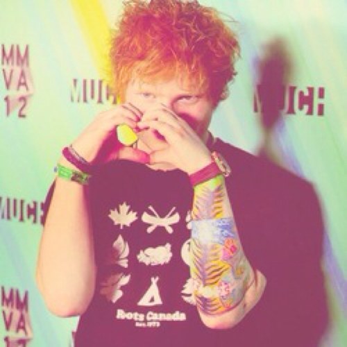 I'm gonna pick up the pieces and build a lego house-ed sheeran3