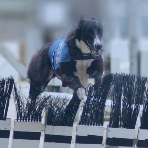 Aperture_Images's profile picture. 