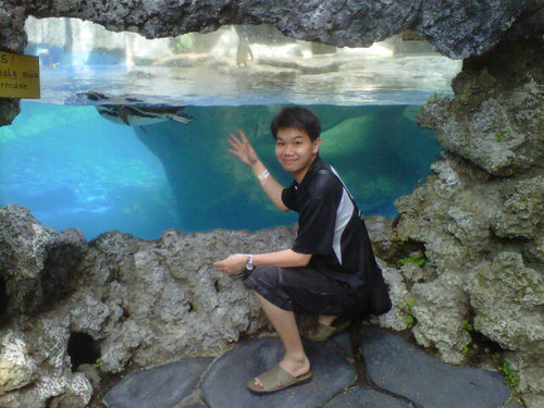 tolukia's profile picture. daylight programmer, aspiring trader, past-his-prime badmintoner