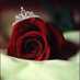 ..ميمیے العسيریے.. (@mo91co) Twitter profile photo