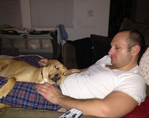 caleybauer's profile picture. 