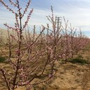 Tomas Ureña Saez - @tomuresa - Twitter