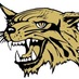 N.Gaston Wildcat (@nogawildcats) Twitter profile photo