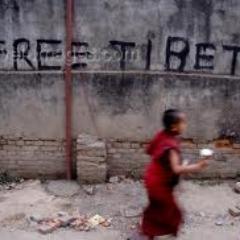 renatopinaffo's profile picture. Todo lo que somos es el resultado de lo que hemos pensado; está fundado en nuestros pensamientos y está hecho de nuestros pensamientos. - Buda