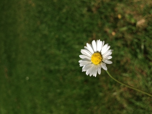 Marr_yy's profile picture. 