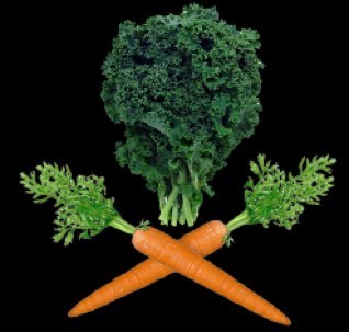 Chief Vegetable Pirate (CVP) at Happy Acres Homestead, freelance writer for urban ag issues, and student @sustfoodgmc.  Catch me on @joshoconner as well.