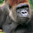 Mark Renshaw - @MarkRenshaw3 - Twitter