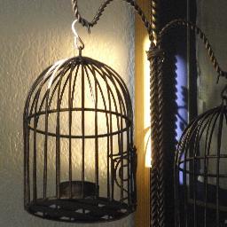 deportbrad's profile picture. 