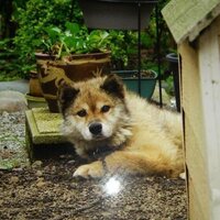 عدنان (@rrrrrrr19961005) 's Twitter Profile