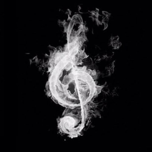 brickbuilder206's profile picture. 