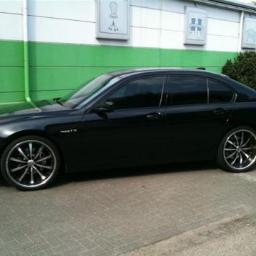 TShkoder's profile picture. 