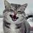 lizochka961's profile image