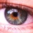 stargardtpress's profile image