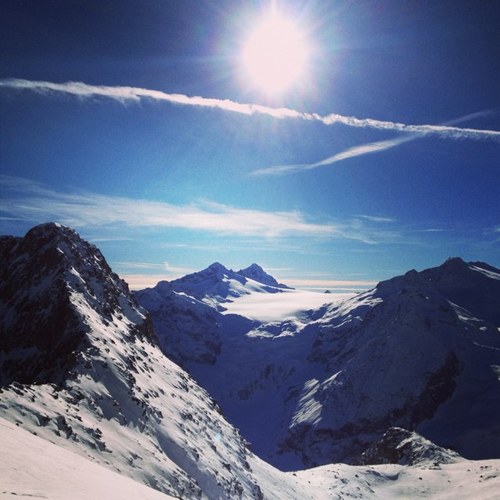 sgarga95's profile picture. 