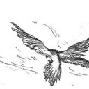 sarah khatib - @sarahkhatib3 - Twitter