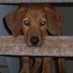Belynda Hicks (@belyndahicks) Twitter profile photo