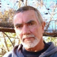 MitchellCrane3's profile picture. Honduas FTW!! party all night XD @evisHot number 1 fan in Honduras