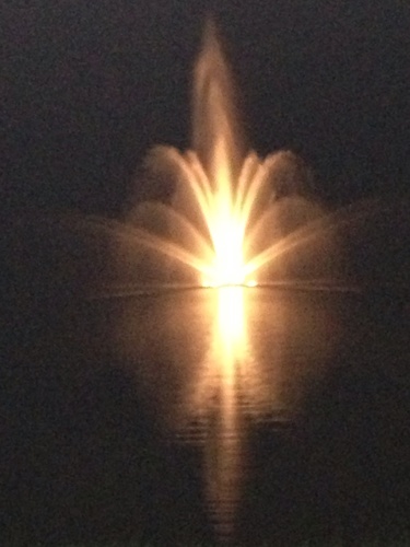 mjktroy15's profile picture. Retired exec., fisherman, golfer, NY Ranger fan, Papa T.