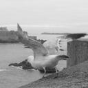 June Stevens - @junestev - Twitter