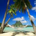 Deborah Nash - @Deborah34233835 - Twitter