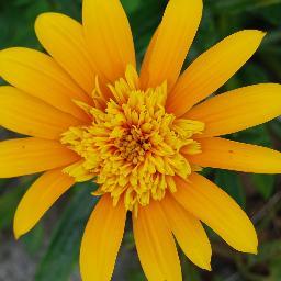 jourdainbernar1's profile picture. chargé de dev durable Ch Niort et Président de l ADSNA regroupant les professionnels de santé autour des thématiques dev durables en Nouvelle Aquitaine