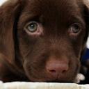 Clams n Beer - @JoelKelsey1 - Twitter