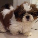 val ward Johnson - @shyonah - Twitter