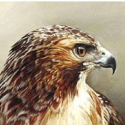 BROOKSHAWK's profile picture. Army Veteran,  Businessman, Political Science, Economics, Classic Education, History. MBA-NYU. Meryl  Lynch, LF Rothschild, Bache ,Paine Webber.