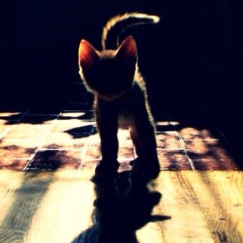 Mona_S_S's profile picture. ..خارج السرب..