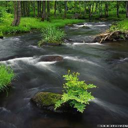 MaureenDonnell8's profile picture. 