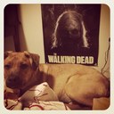 Rachel Dane - @RdaneR - Twitter