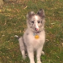 Allison Bouse - @abbeegale - Twitter