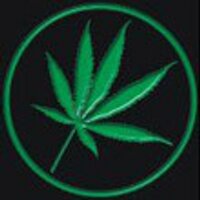 nepehazigk (@nepehazigk) 's Twitter Profile