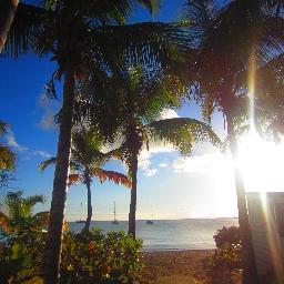 evolluke's profile picture. this and that