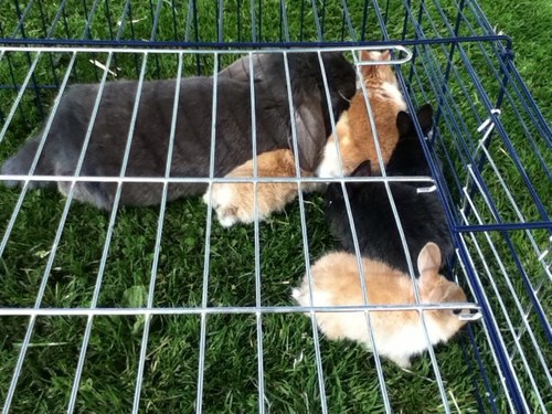 verkuil007's profile picture. 073 DEN BOSCH