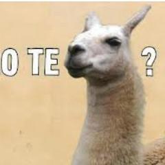 ola k ase ahora incluye ola k ise tu OLA K ISE TU