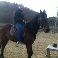 sedat yildiz (@sedatyildiz7336) 's Twitter Profile