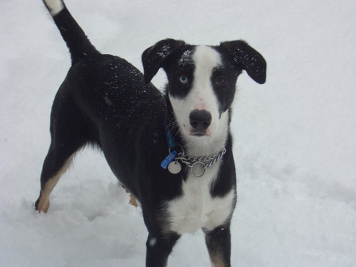 LloydWheeler1's profile picture. 