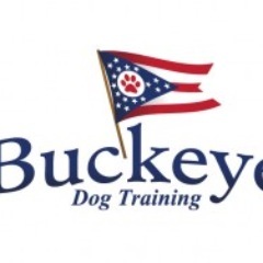BuckeyeDogTrng's profile picture. We provide expert dog training to the communities of the Columbus area. Call us at 614-347-9127!