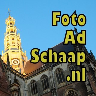 Freelance fotograaf en journalist (tweets altijd met foto of film) voor lokale media in