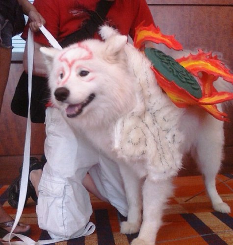 PeeCeeModem's profile picture. 