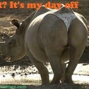 Dillon atkinson - @diavlo45654 - Twitter