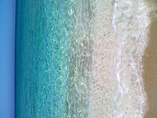 vizzing's profile picture. 