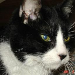 Only1CasSandra's profile picture. Female Geek in A-Minor