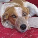 Jack Kaye - @jackaye11 - Twitter