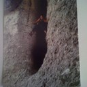 David Pay Alonso - @GDavidpayb - Twitter