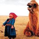 Denise Walsh - @dneesiwalsh - Twitter