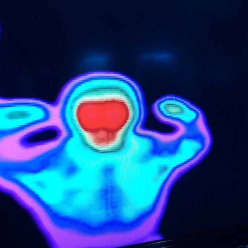 mnemiopsis's profile picture. Jellyfish, oceanography, climate change, oil spills, elementary outreach, anything marine science. Golf enthusiast!