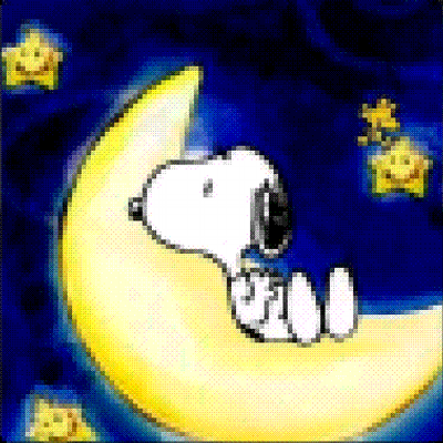Y4ku's profile image